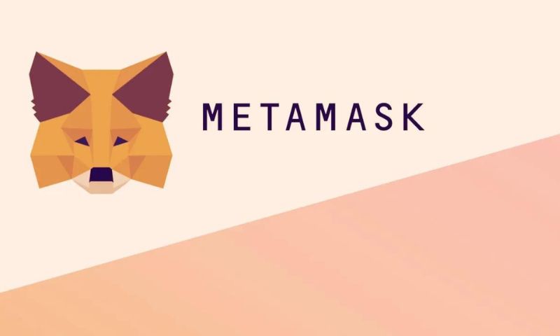 MetaMask Mobile App Unleashed