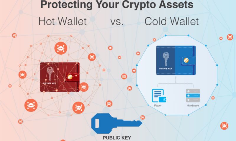 Hot Wallets vs Cold Wallets