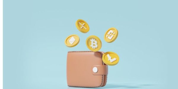 Beginner Crypto Wallet Showdown: Which Secures Your Digital Gold?