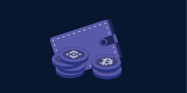 Comparison Conundrum: Finding the Best Beginner Crypto Wallet