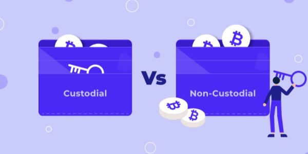 Custodial vs Non-Custodial Wallets: Choosing Your Crypto Guardian Wisely