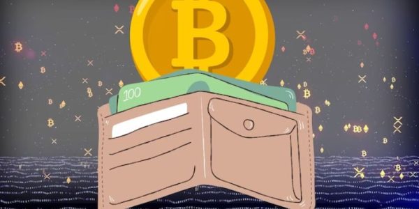 How to Setup a Crypto Wallet: Your Ultimate Secure Money Guide