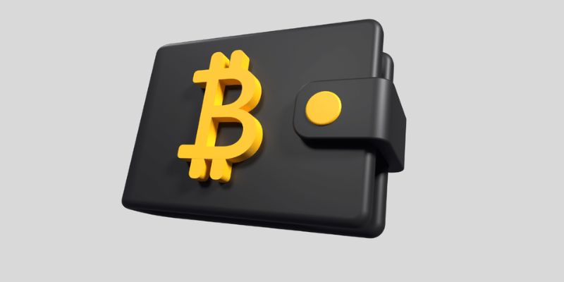 non-custodial Bitcoin wallet