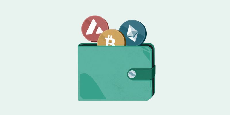 Type of crypto wallets