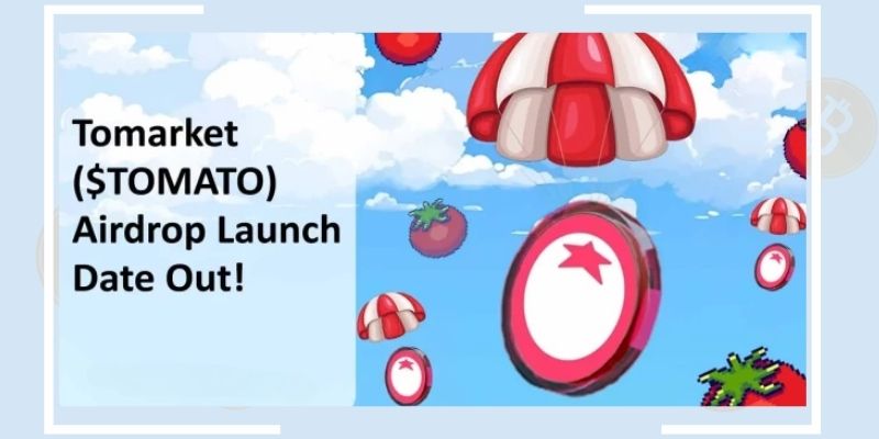 What is the Tomarket Airdrop?
