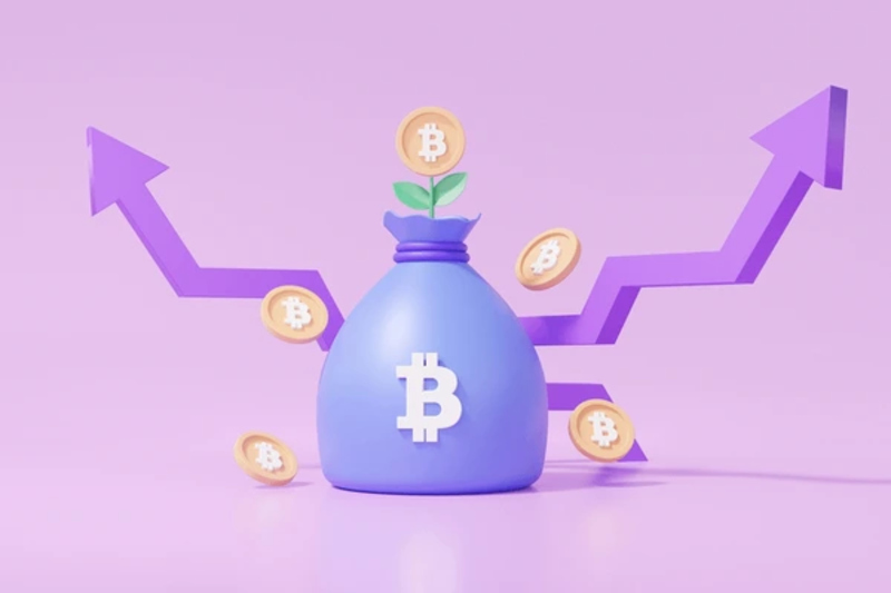 Investment potential and future outlook of Purple Bitcoin