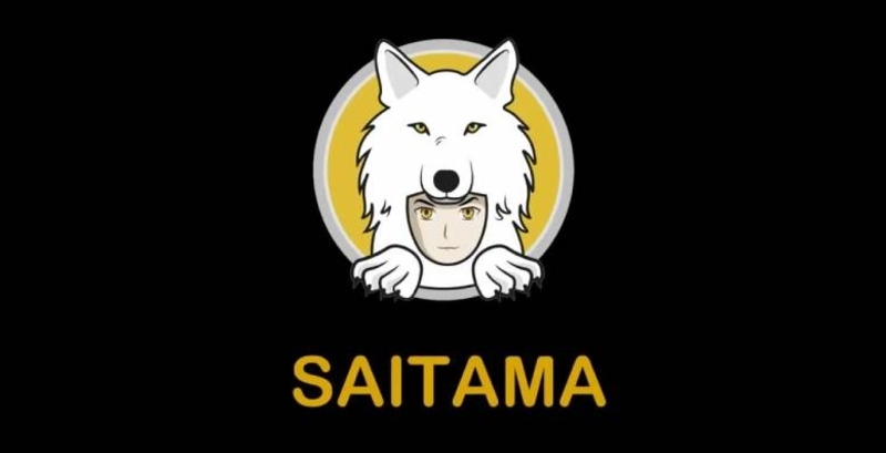 What is Saitama Coin?